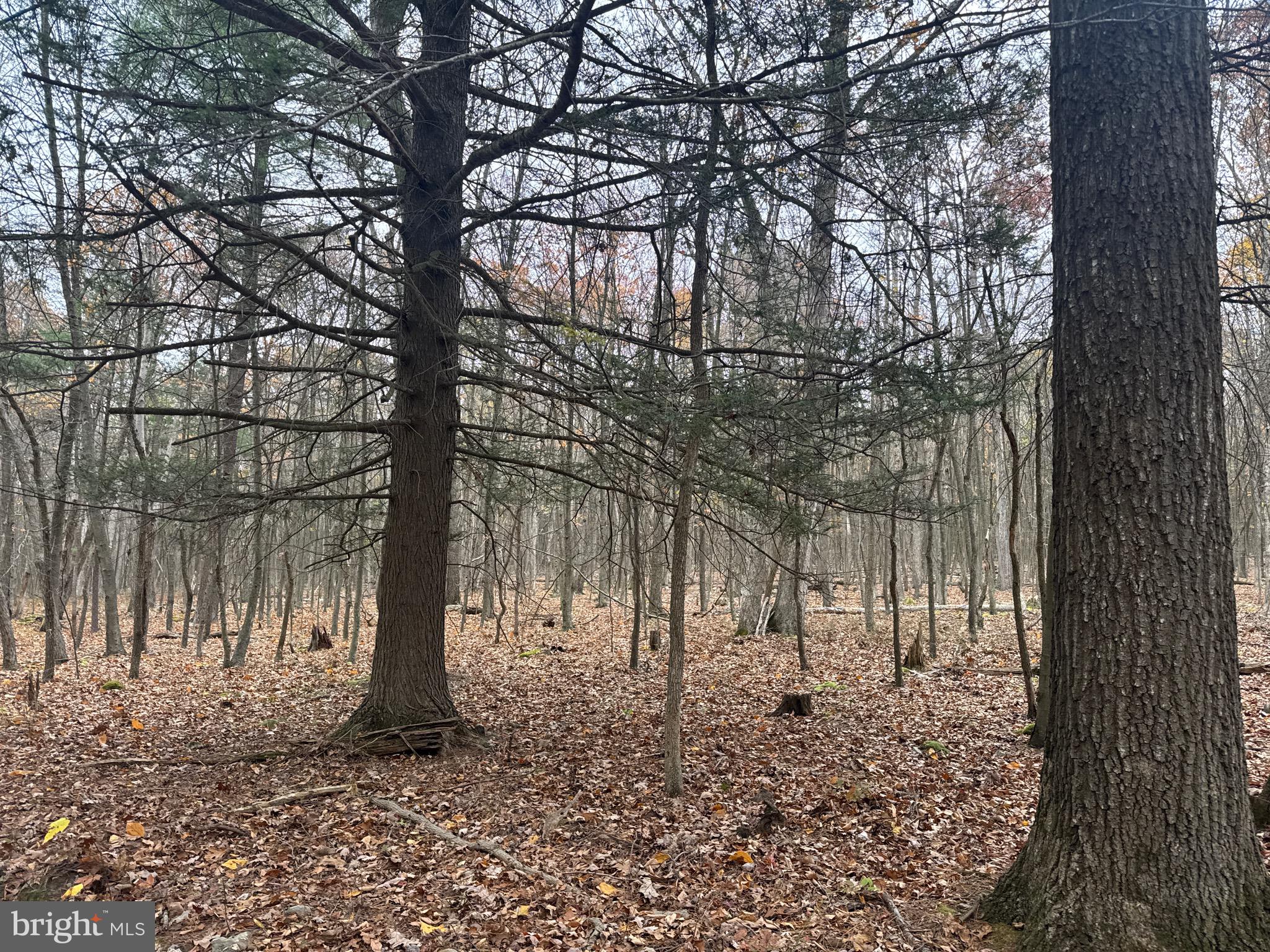 2 30 /- Acres Coles Valley Road Robertsdale, PA 16674 - Photo 10 of 38