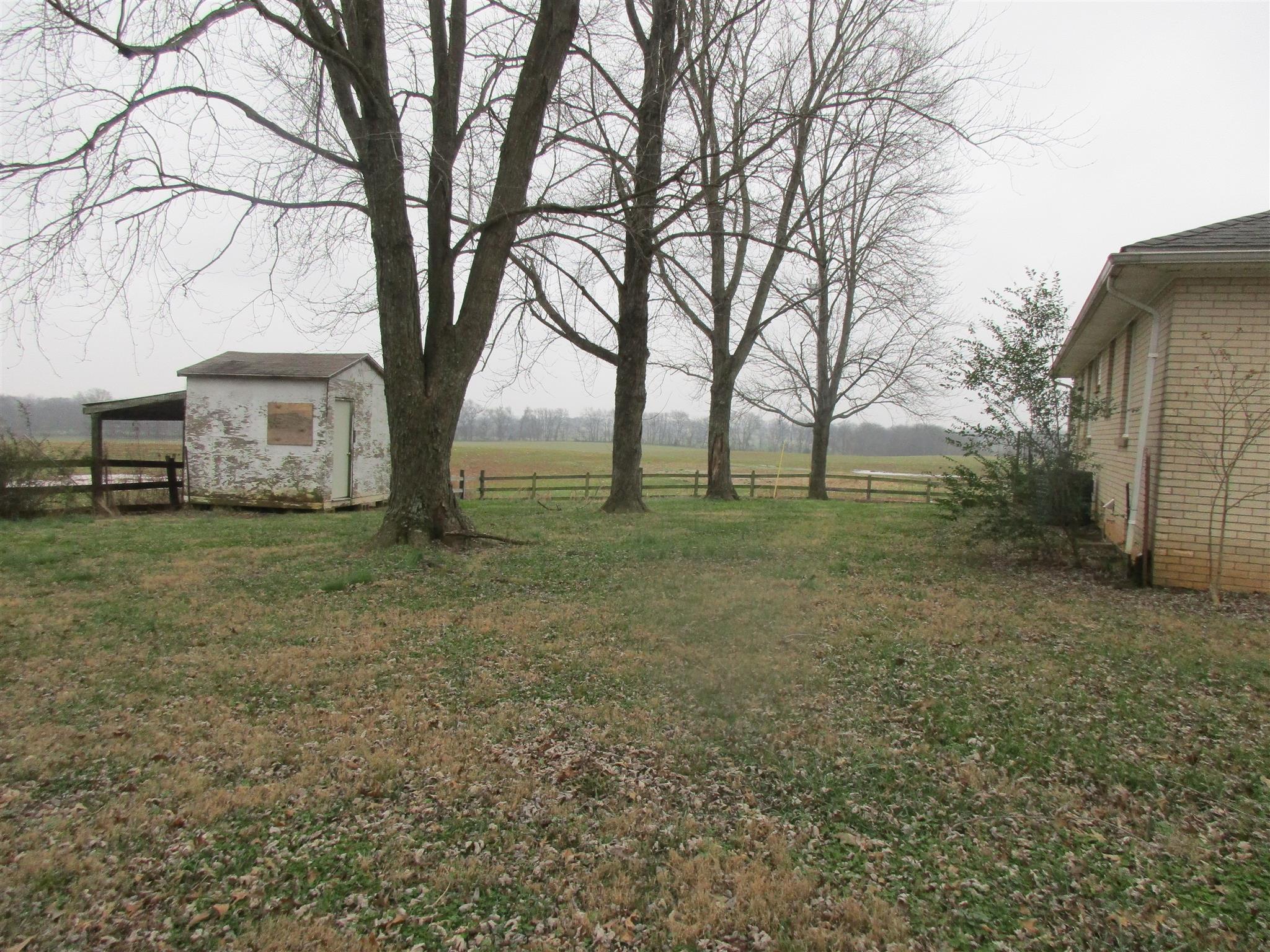 3779 Buck Road Clarksville, TN 37043 - Photo 4 of 12 a view of a backyard with large trees