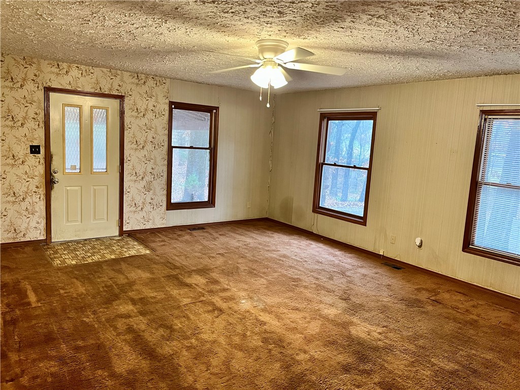840 Miller Road Ola, AR 72853 - Photo 11 of 23 Carpeted entrance foyer with a ceiling fan, a textured ceiling, and healthy amount of natural light