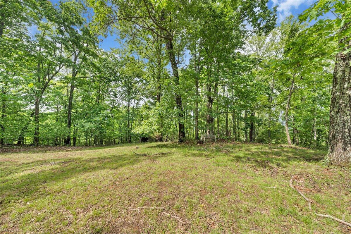 1466 Oak Ridge Farm Road Moneta, VA 24121 - Photo 33 of 66 33-MIB07907