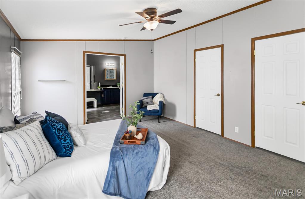 11262 Spring Meadow Trail Lebanon, IL 62254 - Photo 22 of 44 Gallery Image 22