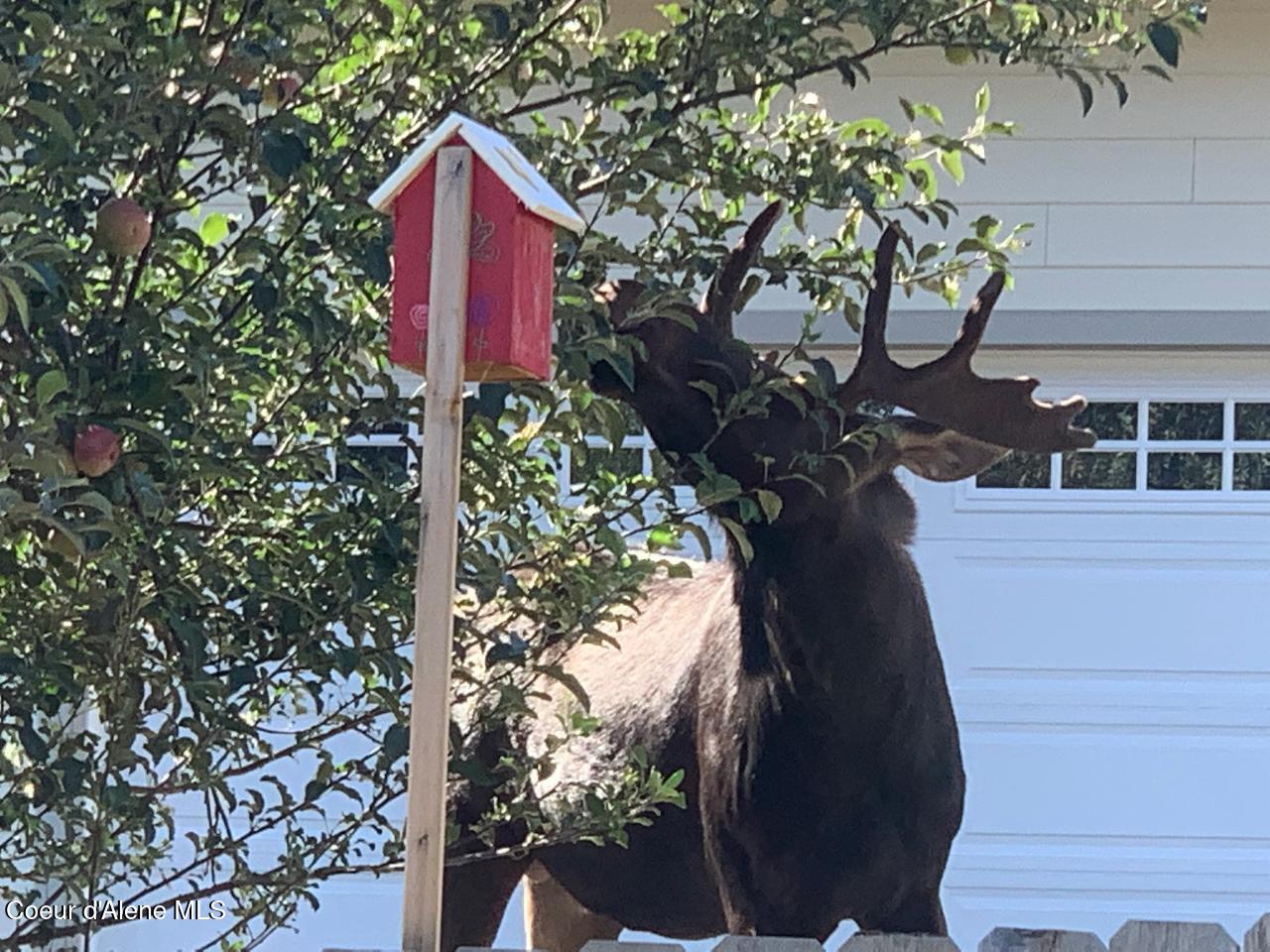 266 Syringa Heights Road Sandpoint, ID 83864 - Photo 77 of 92 33748