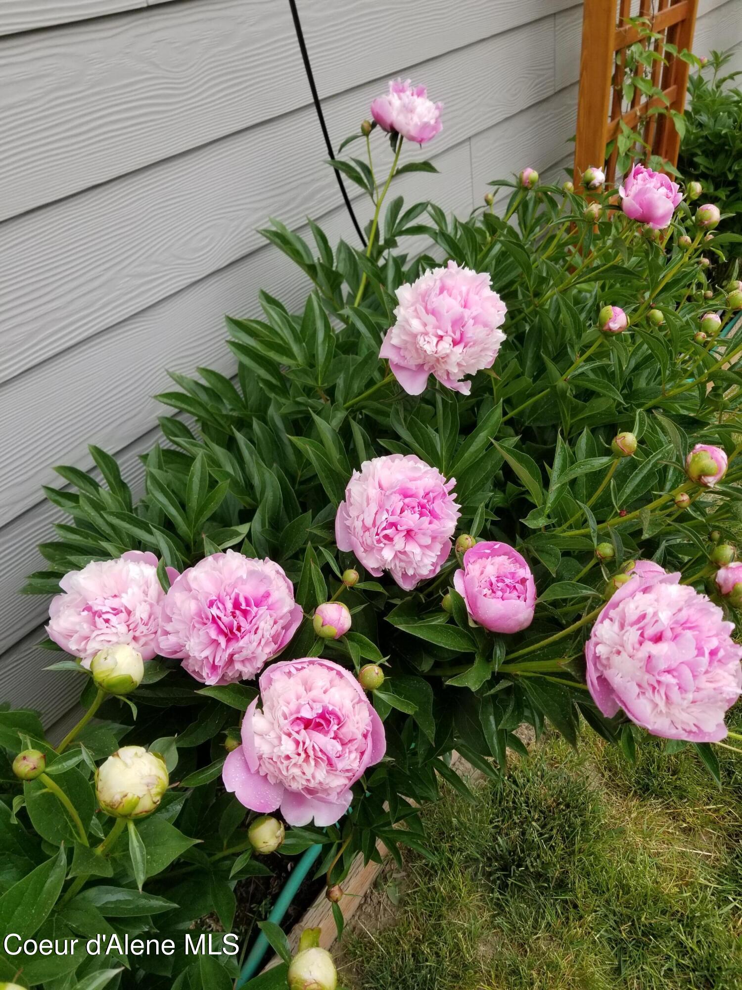 266 Syringa Heights Road Sandpoint, ID 83864 - Photo 78 of 92 20210523_113035