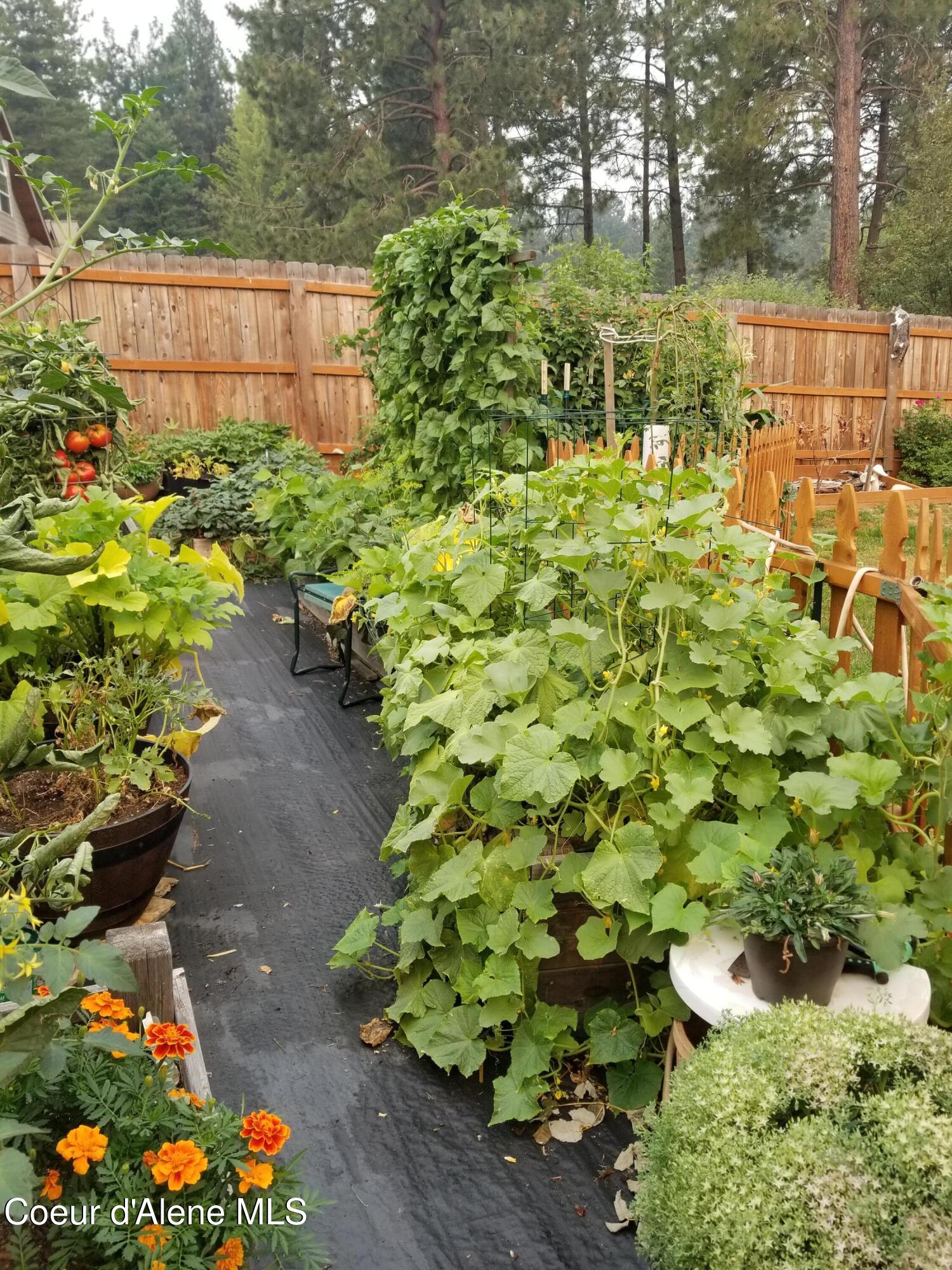 266 Syringa Heights Road Sandpoint, ID 83864 - Photo 79 of 92 20210814_082724