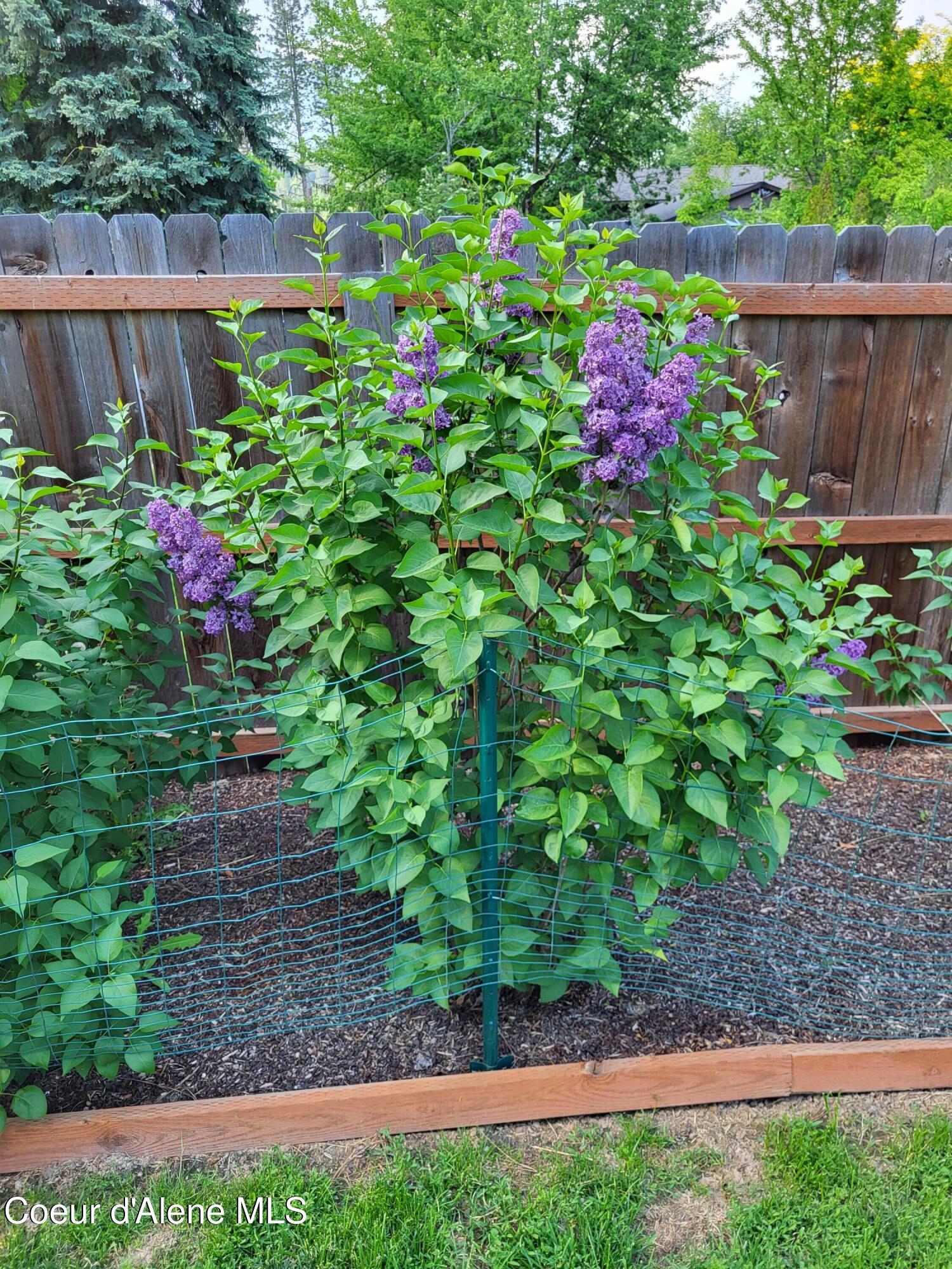 266 Syringa Heights Road Sandpoint, ID 83864 - Photo 85 of 92 20230520_163534