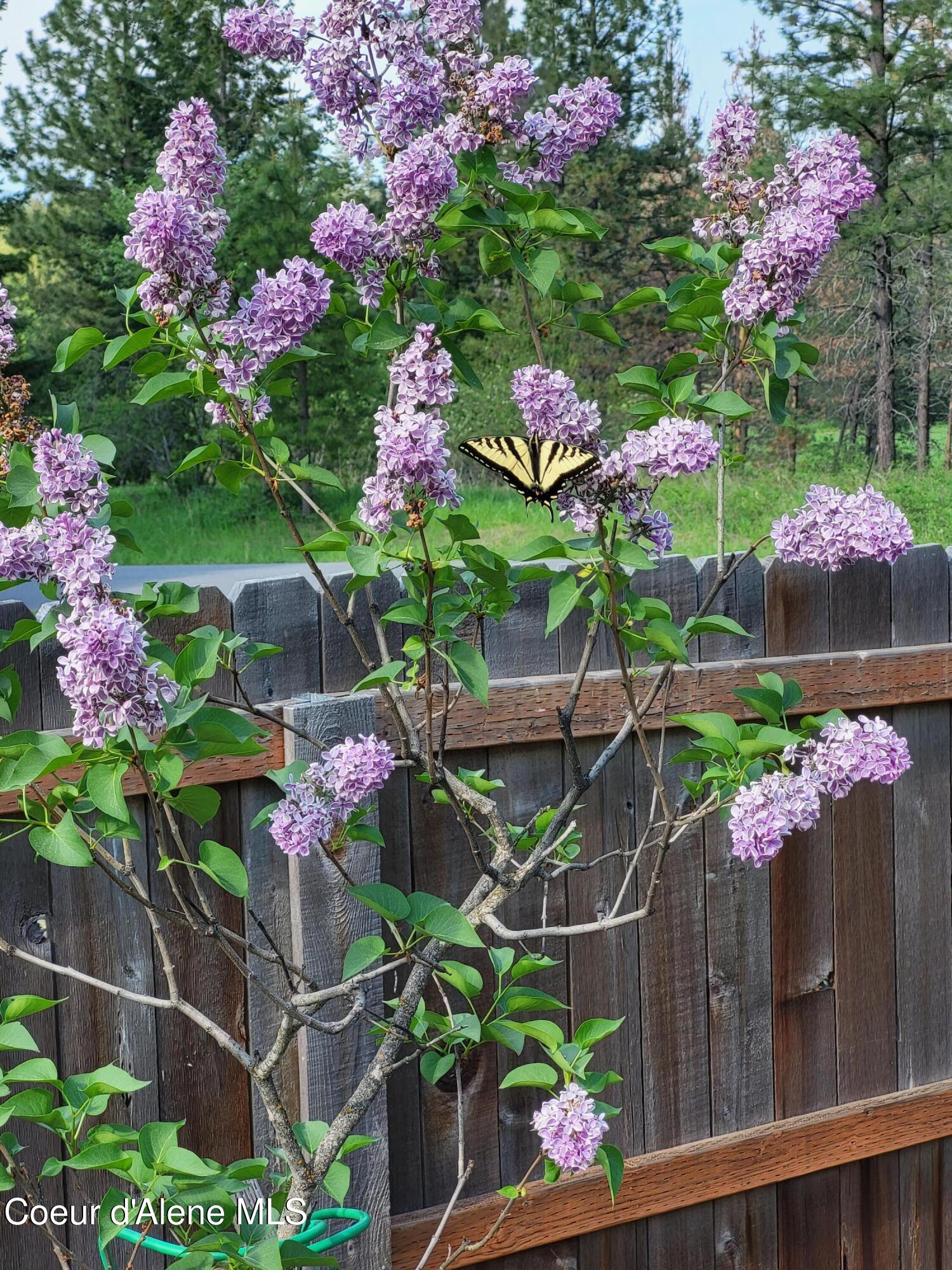 266 Syringa Heights Road Sandpoint, ID 83864 - Photo 86 of 92 20230520_163650