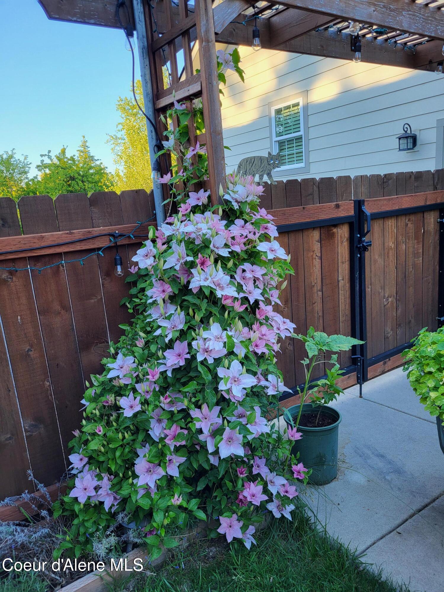 266 Syringa Heights Road Sandpoint, ID 83864 - Photo 90 of 92 20240625_190525