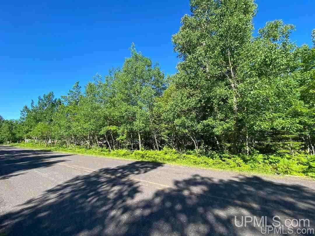Tbd Sedar Bay Road Calumet, MI 49913 - Photo 13 of 16