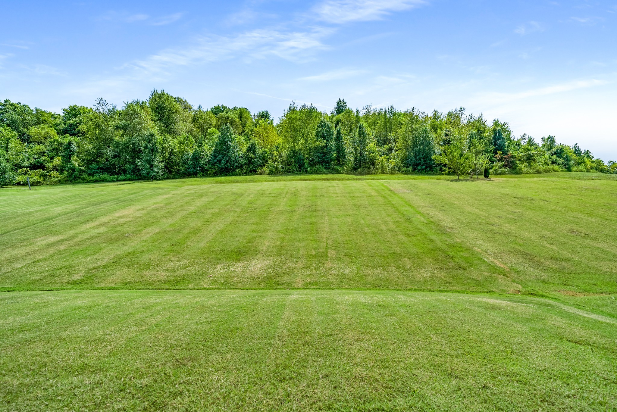 1055 Amelia Park Drive Franklin, TN 37067 - Photo 46 of 54