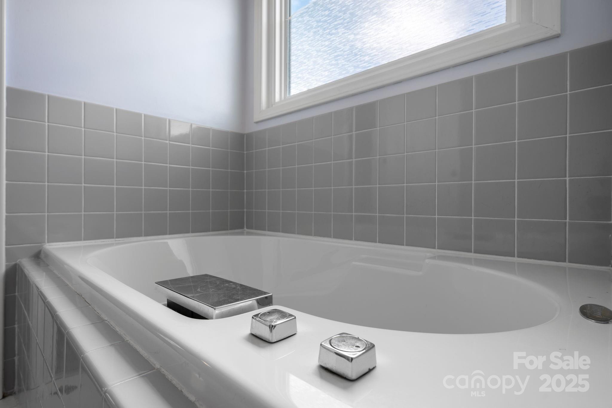 712 Painted Feather Lane Conover, NC 28613 - Photo 17 of 48 a bath tub sitting in a bathroom and