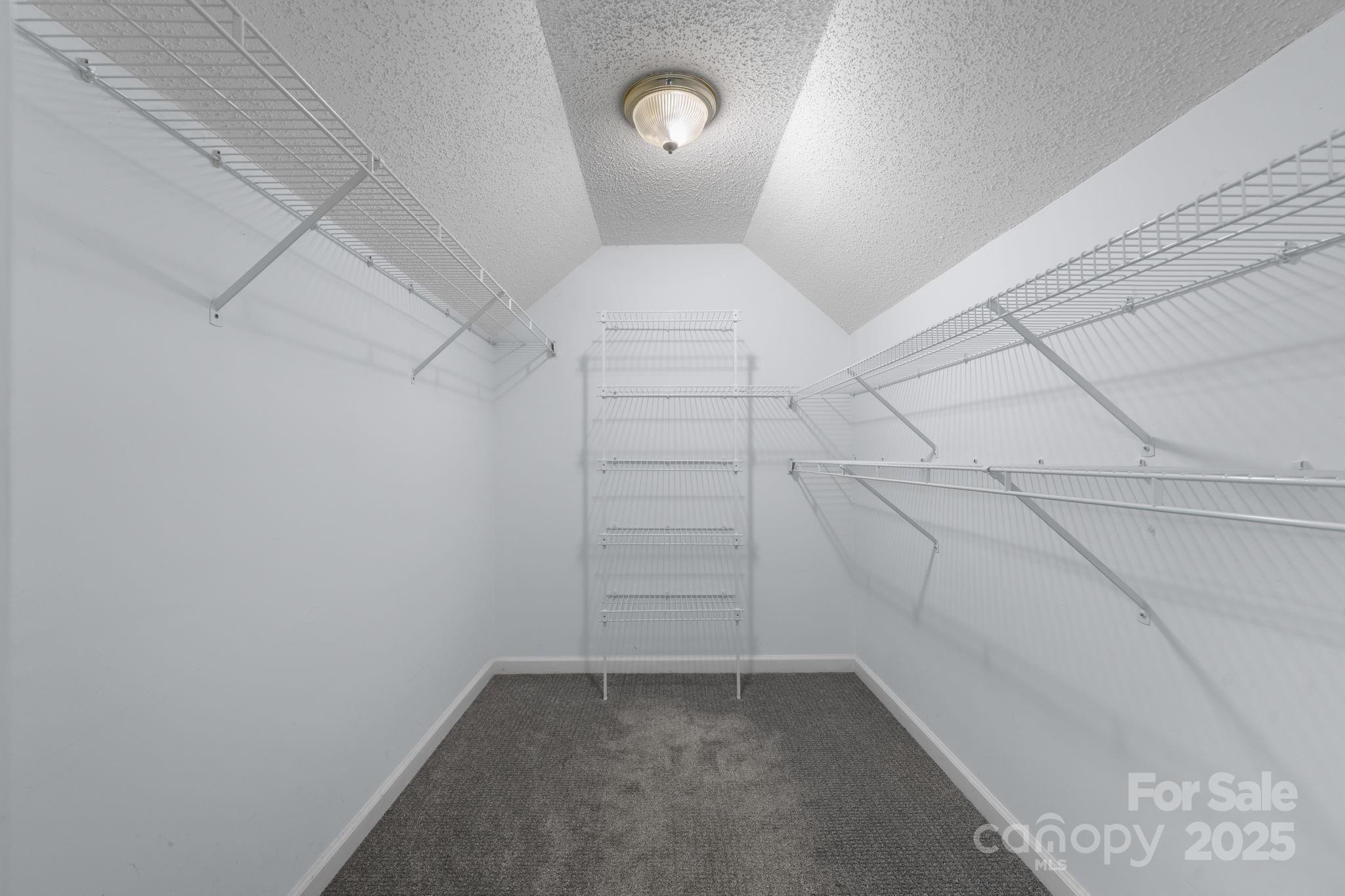 712 Painted Feather Lane Conover, NC 28613 - Photo 20 of 48 a view of a walk in closet