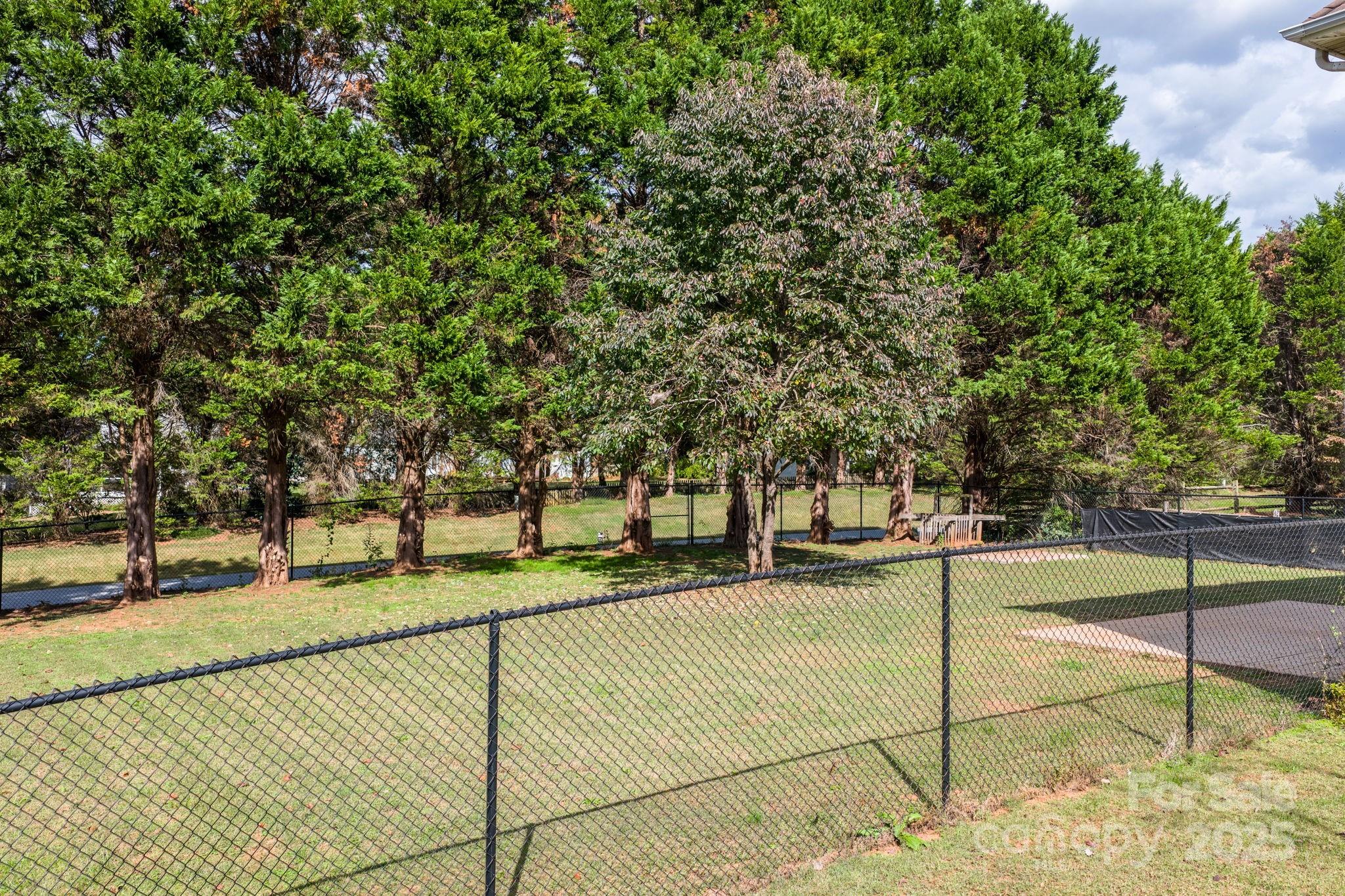 712 Painted Feather Lane Conover, NC 28613 - Photo 35 of 48 a view of a park with trees