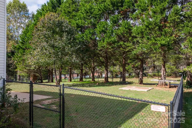 a view of a park with large trees