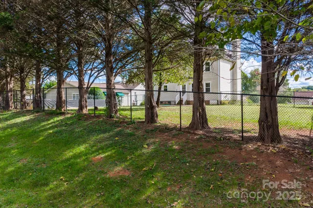 a view of a yard with a tree