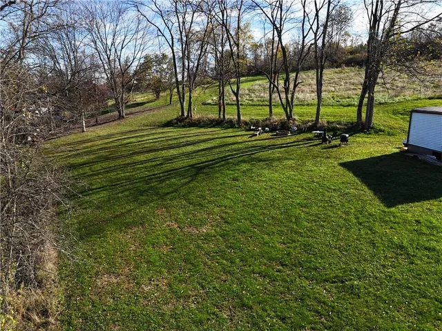a view of a park with large trees