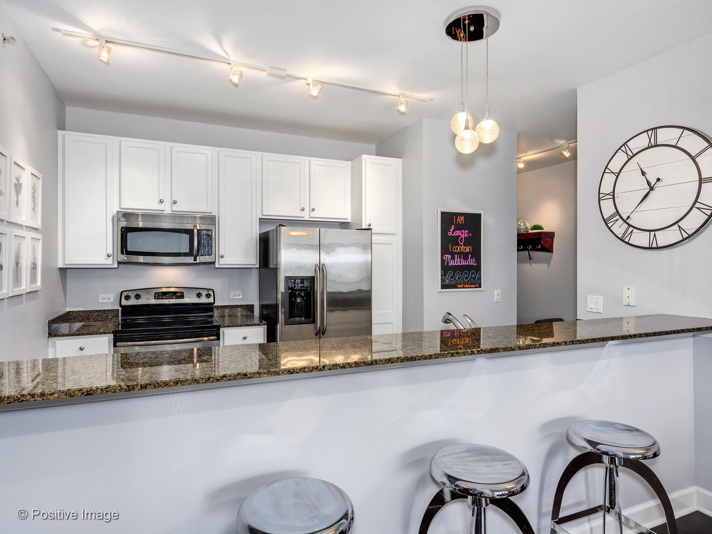 100 East 14th Street, Unit 903 Chicago, IL 60605 - Photo 12 of 25