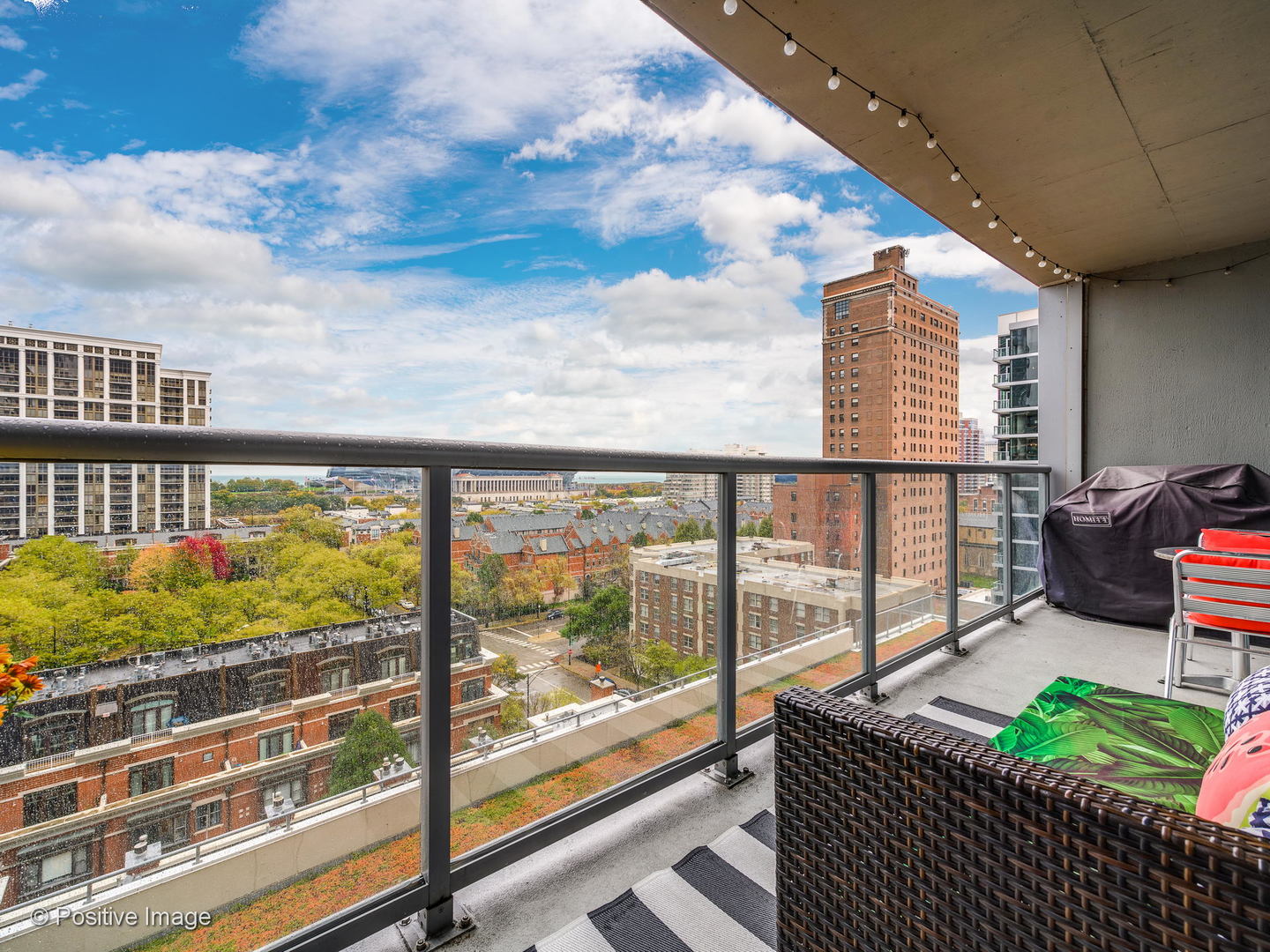 100 East 14th Street, Unit 903 Chicago, IL 60605 - Photo 20 of 25