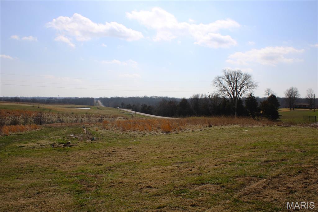 40825 Madison Trail Perry, MO 63462 - Photo 4 of 21