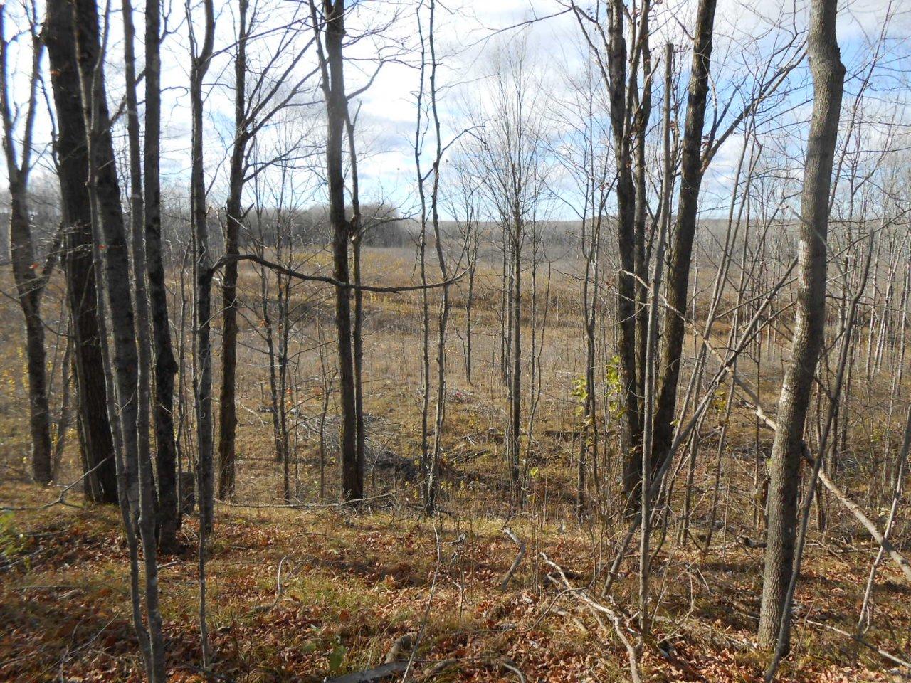 On Goetzke Road Prentice, WI 54556 - Photo 16 of 33 Gallery Image 16