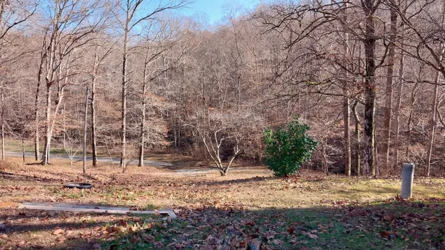 a house view with backyard space