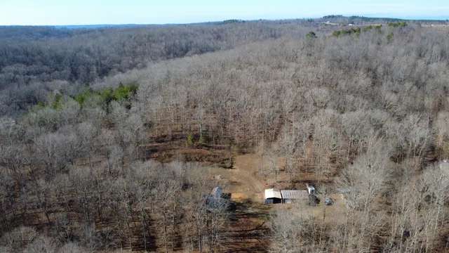 a view of a house with backyard and tree