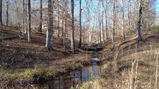 a view of a yard with a yard