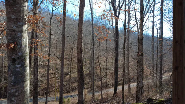 $149,900 | 314 Burns Hollow Road, Waynesboro, TN 38485