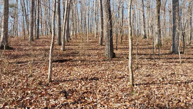 $149,900 | 314 Burns Hollow Road, Waynesboro, TN 38485