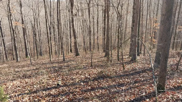 $149,900 | 314 Burns Hollow Road, Waynesboro, TN 38485