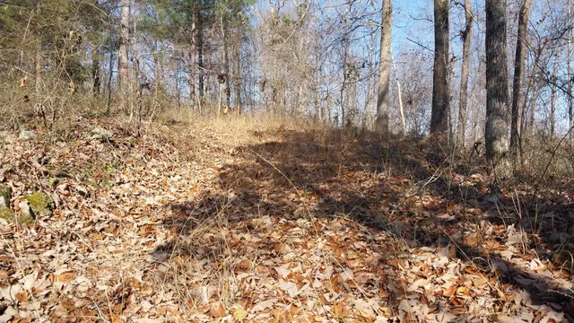 $149,900 | 314 Burns Hollow Road, Waynesboro, TN 38485