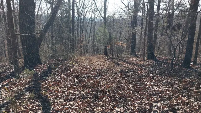 $149,900 | 314 Burns Hollow Road, Waynesboro, TN 38485