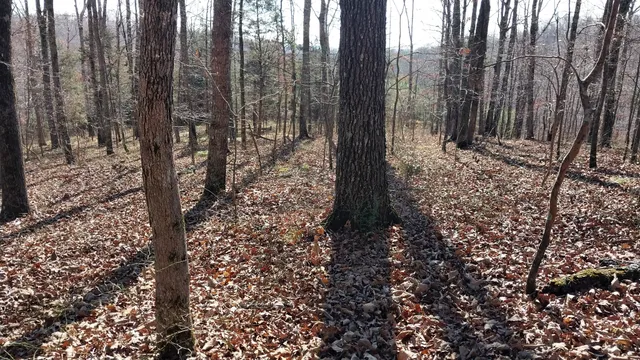 $149,900 | 314 Burns Hollow Road, Waynesboro, TN 38485