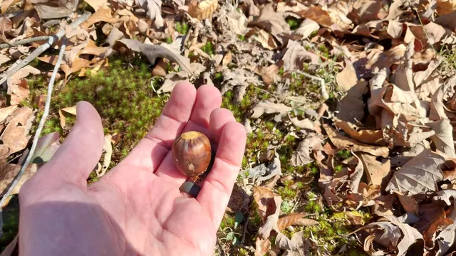 $149,900 | 314 Burns Hollow Road, Waynesboro, TN 38485