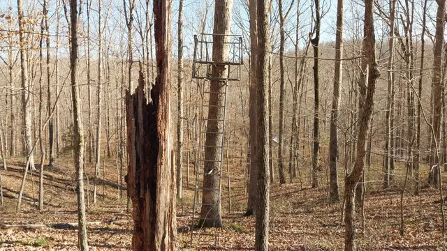 $149,900 | 314 Burns Hollow Road, Waynesboro, TN 38485