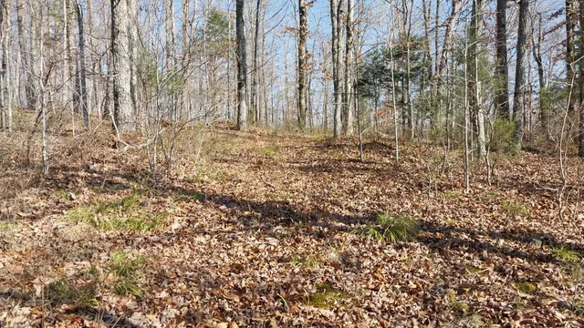 $149,900 | 314 Burns Hollow Road, Waynesboro, TN 38485