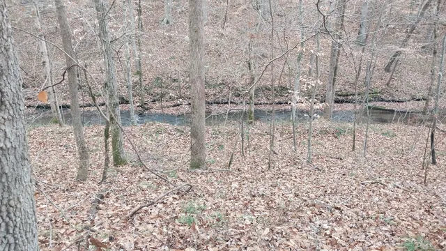 a view of a dry field with trees