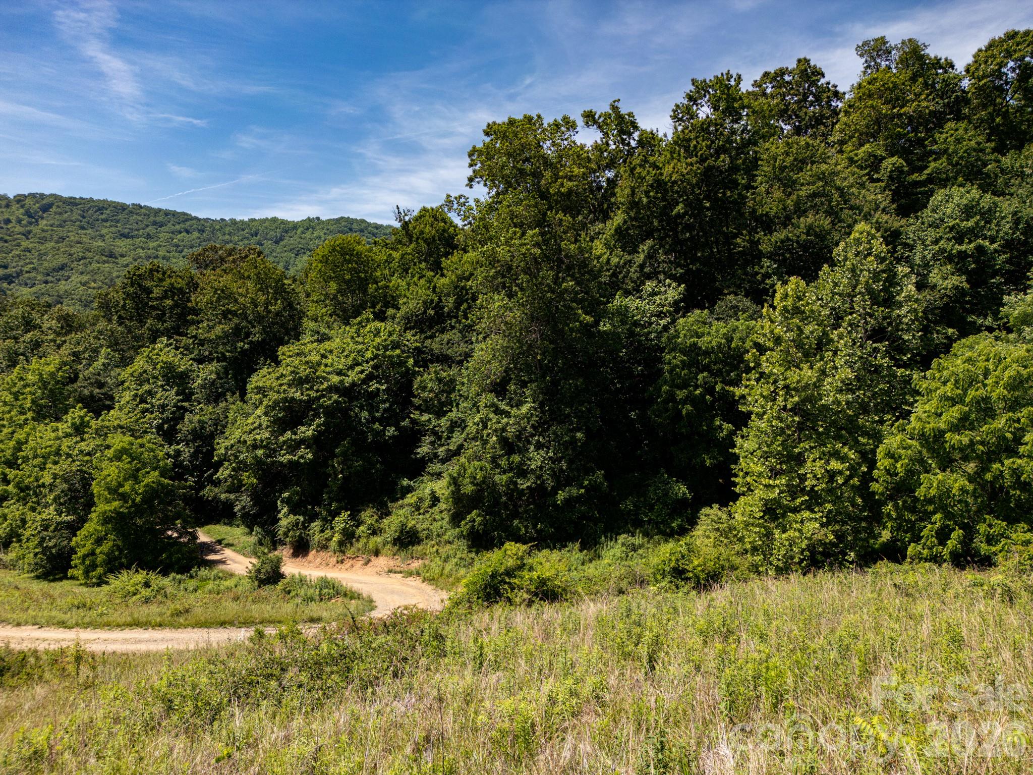 999 Murphy Cove Road Candler, NC 28715 - Photo 32 of 48