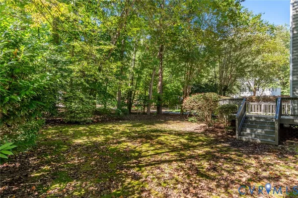 a view of a tree in a yard