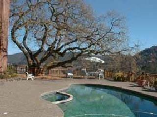 a view of yard with swimming pool