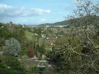 120 Oak Ridge Road San Rafael, CA 94903 - Photo 7 of 8 a view of a city with lush green forest