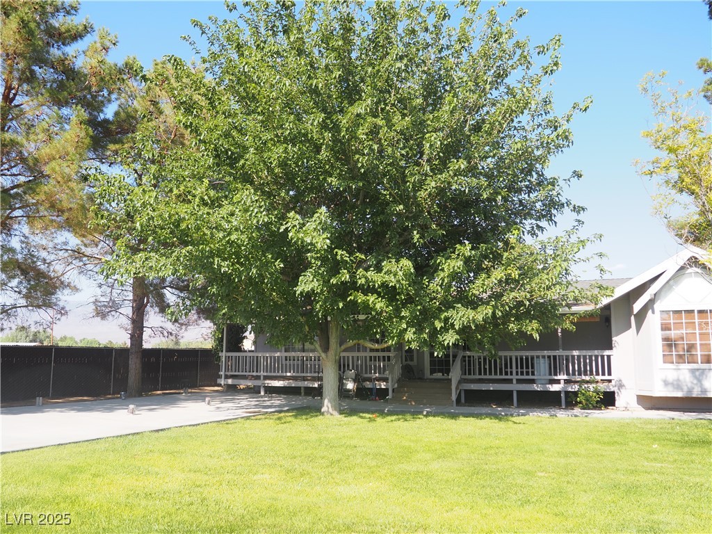 3485 Gally Road Pahrump, NV 89060 - Photo 26 of 90 View of yard