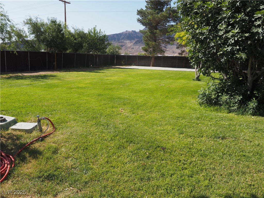 3485 Gally Road Pahrump, NV 89060 - Photo 31 of 90 View of yard with a mountain view