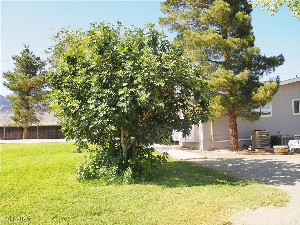 3485 Gally Road Pahrump, NV 89060 - Photo 33 of 90 Gallery Image 33