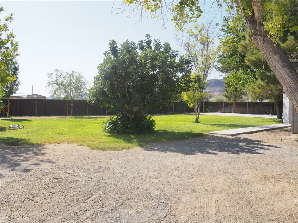 3485 Gally Road Pahrump, NV 89060 - Photo 34 of 90 View of yard