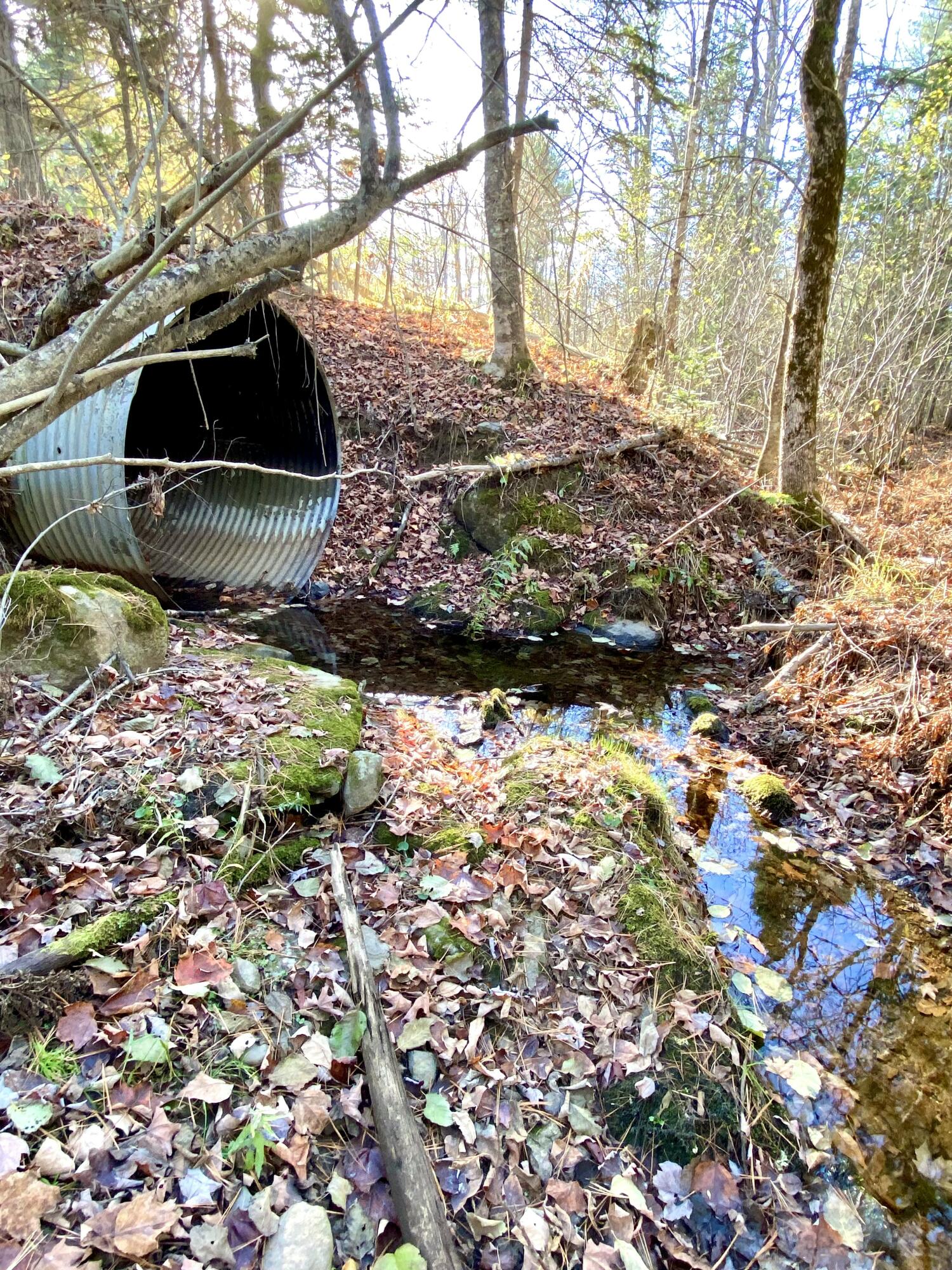 6 East Dixmont Road Monroe, ME 04951 - Photo 23 of 23 Culvert at stream boundary line