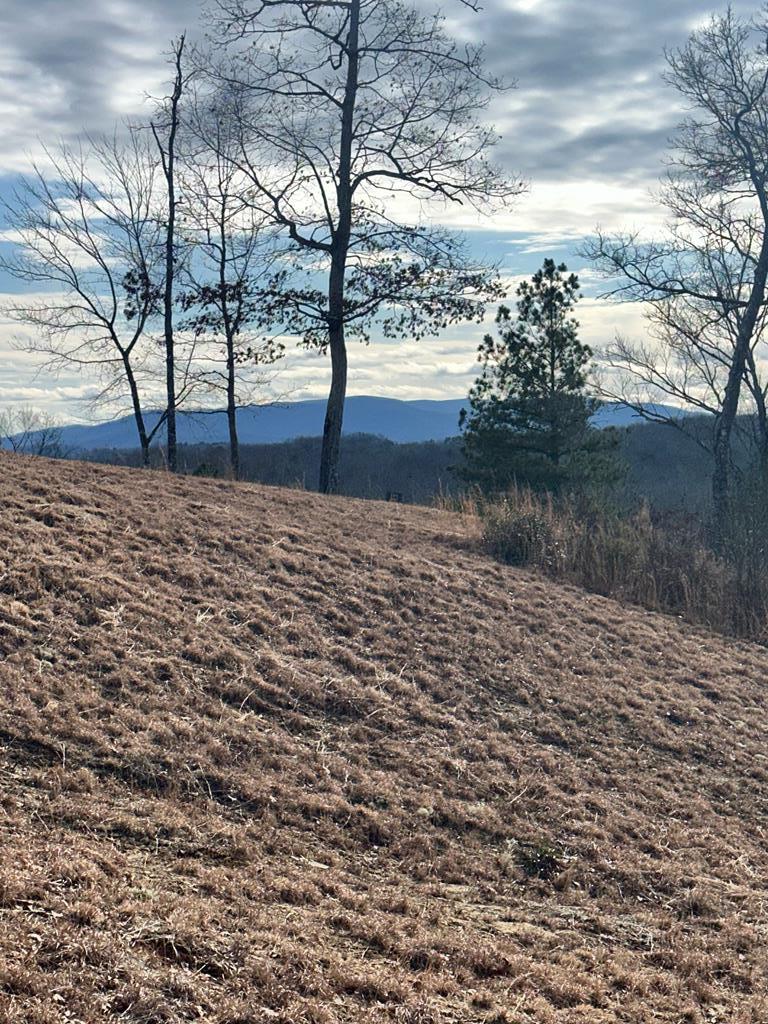 Lot 95 Fallen Leaf Road Mineral Bluff, GA 30559 - Photo 1 of 9 Main View