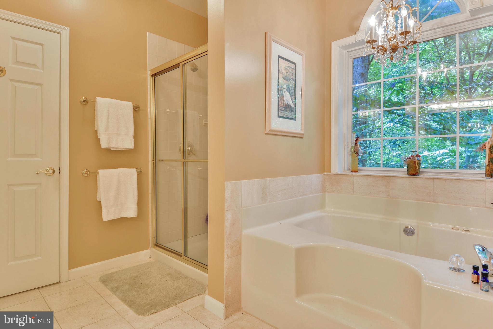 2422 SW Road Baltimore, MD 21234 - Photo 16 of 30 Bath (Master)