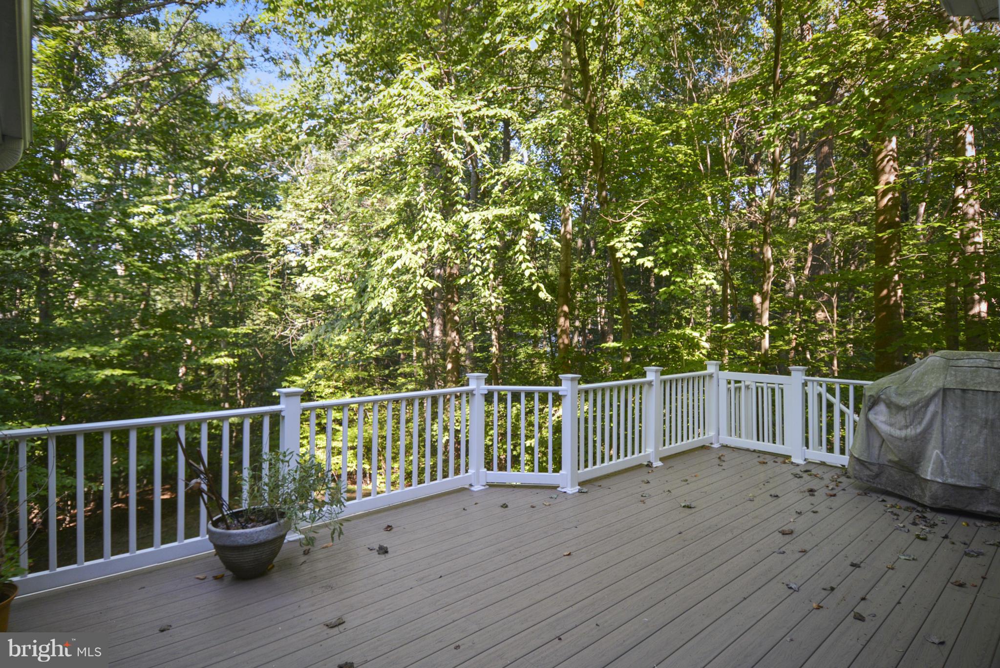 2422 SW Road Baltimore, MD 21234 - Photo 27 of 30 Rear Deck