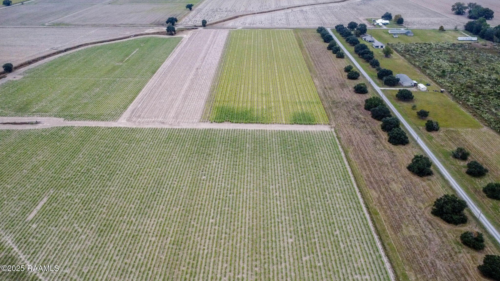 0 Hilton Road Maurice, LA 70555 - Photo 4 of 6 3-web-or-mls-000 Hilton Rd Aerials-3