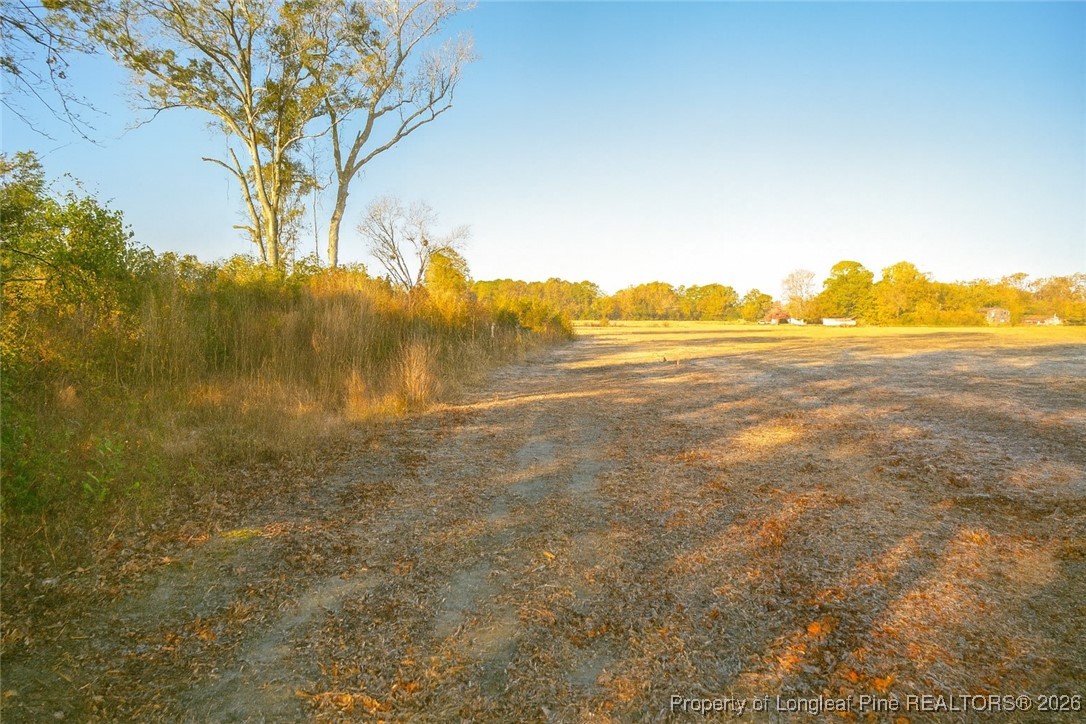 5 Barnesville Church Road Orrum, NC 28369 - Photo 4 of 10 a view of an ocean